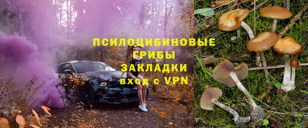 ALPHA PVP Снежногорск