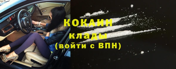 стаф Каменск-Шахтинский