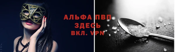 стаф Каменск-Шахтинский