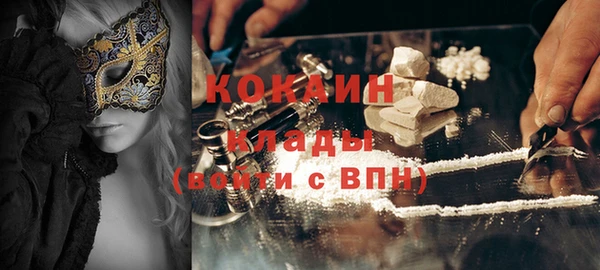PSILOCYBIN Карталы