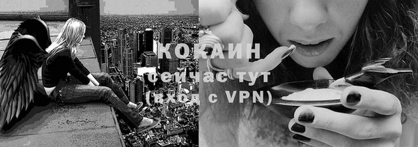 PSILOCYBIN Карталы