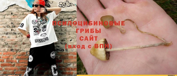 дурь Карпинск