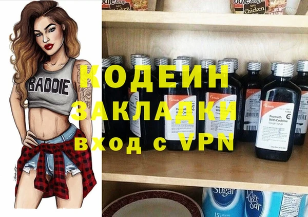 дурь Карпинск