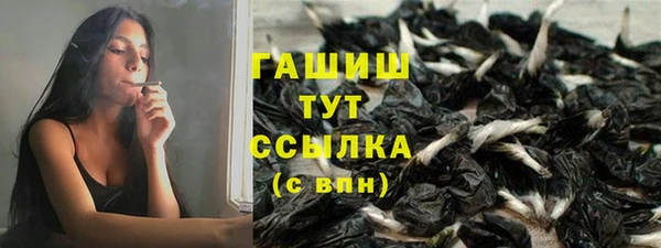 PSILOCYBIN Карталы