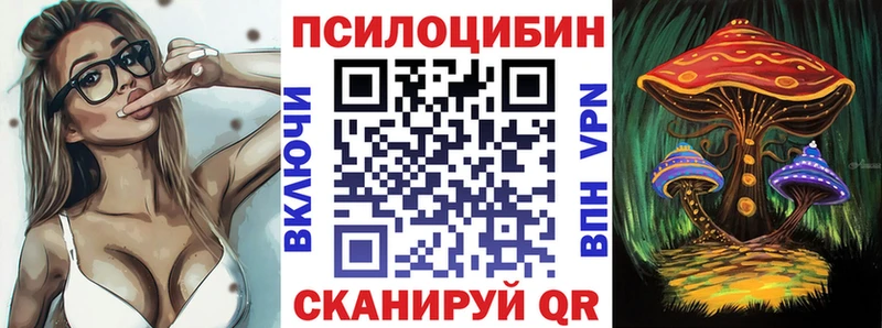 Купить закладки  Зима  Псилоцибиновые грибы Psilocybe 