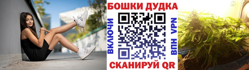 Канабис Amnesia  Купить закладки  Зима 